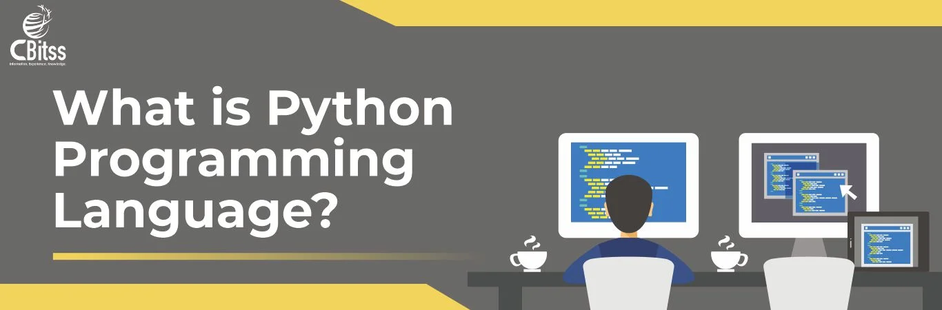 Things You Need to Know Before Learning Python