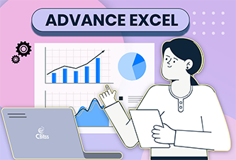 advance excel course in chandigarh