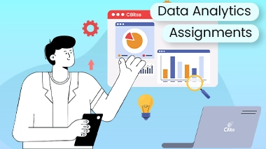 data analytics assignments