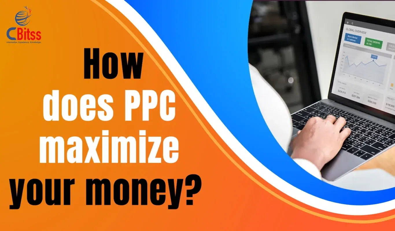 How does PPC maximize your money